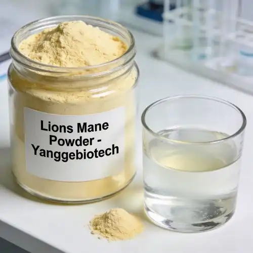 Best Lion's Mane Mushroom Powder for Supplements